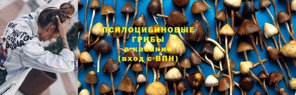 прущая мука Балахна