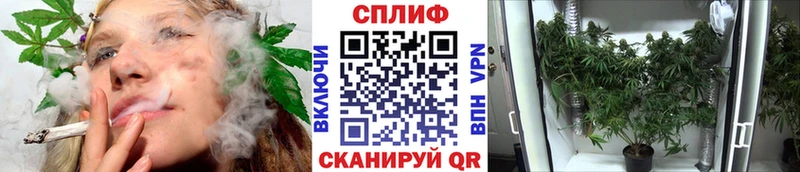 Каннабис сатива  где купить   Верхотурье 